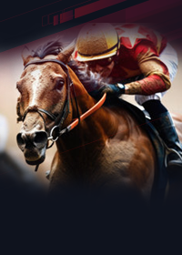 Cheltenham Racecourse